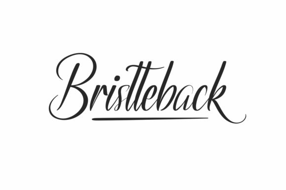 Bristteback: A Handwritten Font for Editorial Elegance