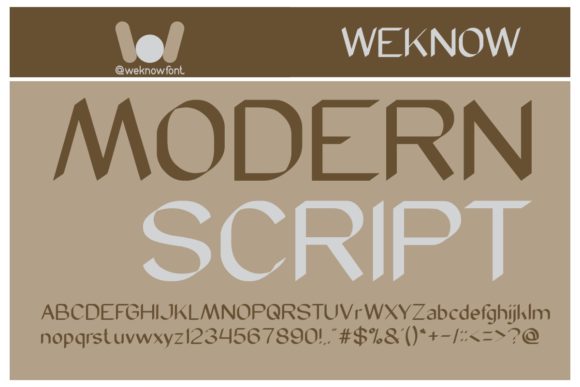 Modern Script Font for Branding Projects