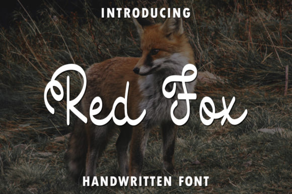 Red Fox Font for Web Design and Brand Identity
