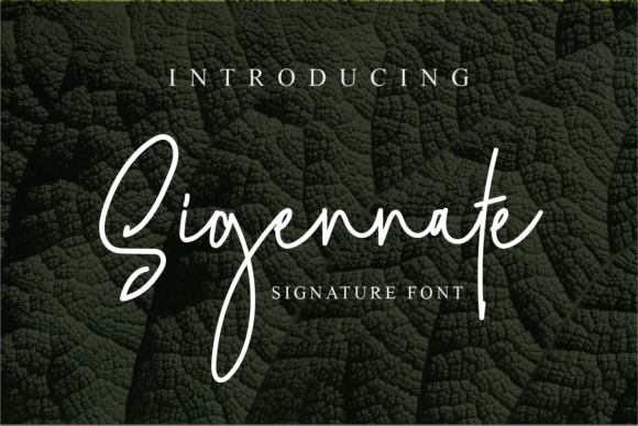 Sigennate: A Refined Script Font for Editorial Design