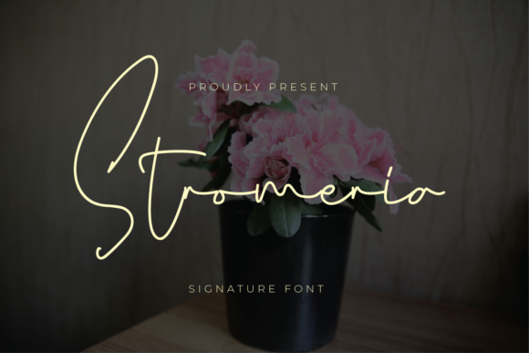 Stromeria: A Delicate Script Font for Digital Branding