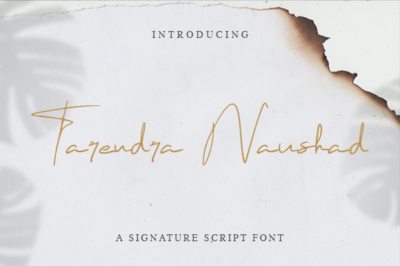 Tarendra Naushad: A Script Font for Handmade Magic